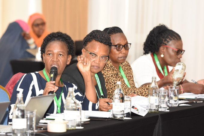 IGAD members in a meeting