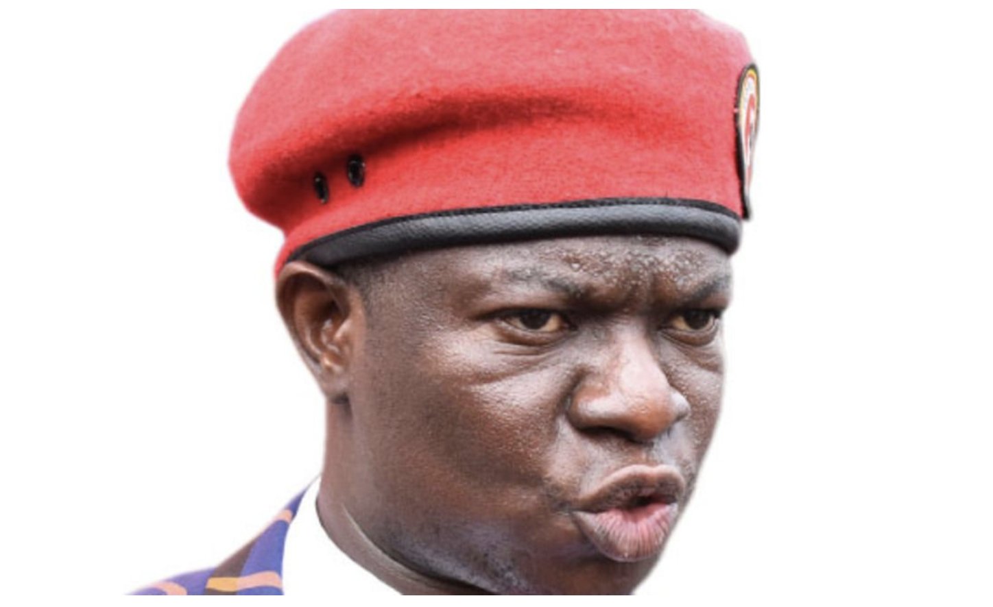 DNA Tests Confirm Four of Nine Disputed Children of Late MP Muhammad Ssegirinya
