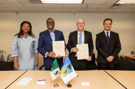 AfDB signs $3.2 billion Exposure Exchange with Inter-American Development Bank