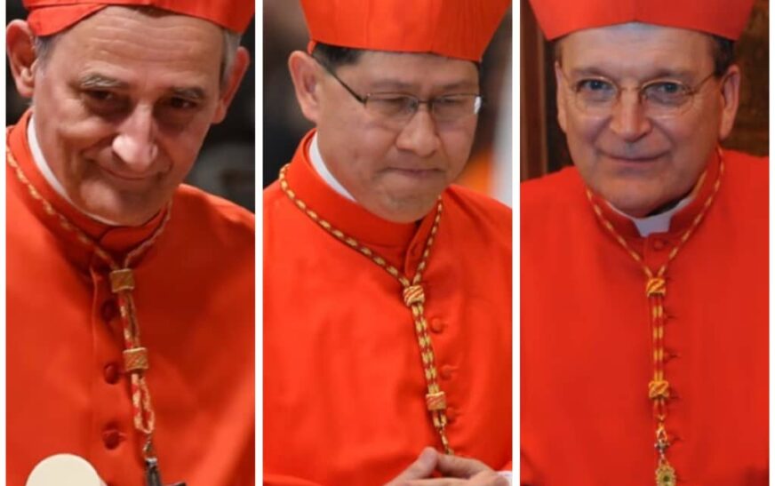 Papal Succession: Cardinals Zuppi, Burke, Tagle expected to take over from Pope Francis