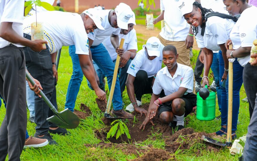 MTN MoMo championing digital agribusiness and health access