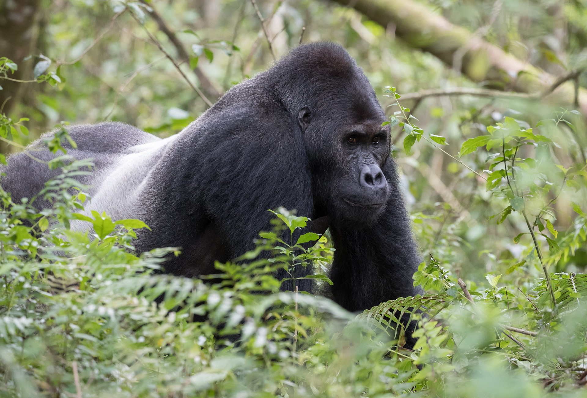 EPRC to boost Uganda’s growth with major tourism and urbanisation studies