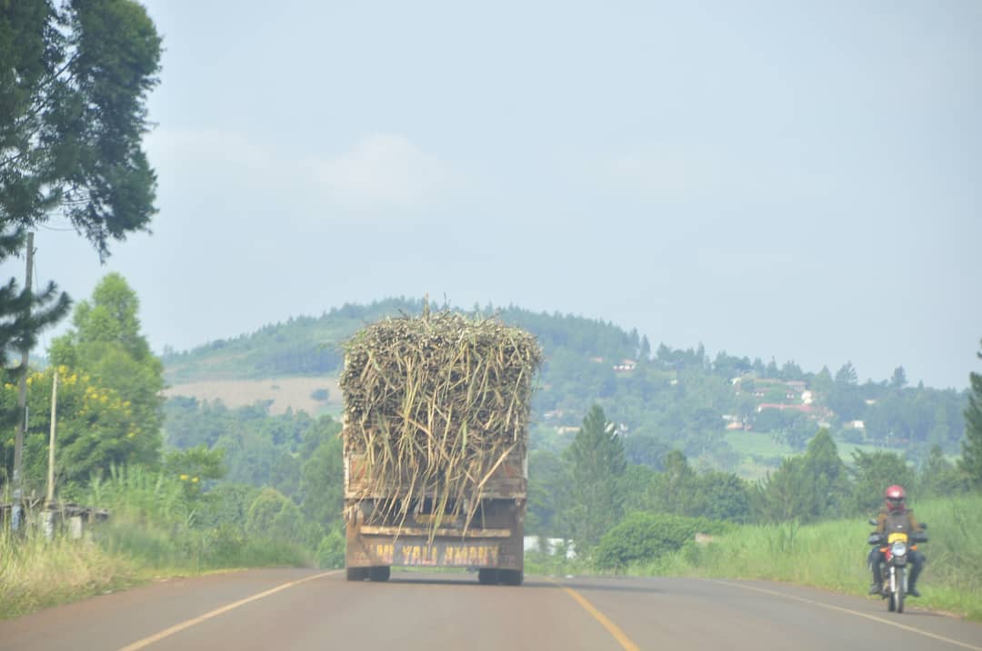 Sugarcane Farmers hail President Museveni’s Ban on Trash Deductions
