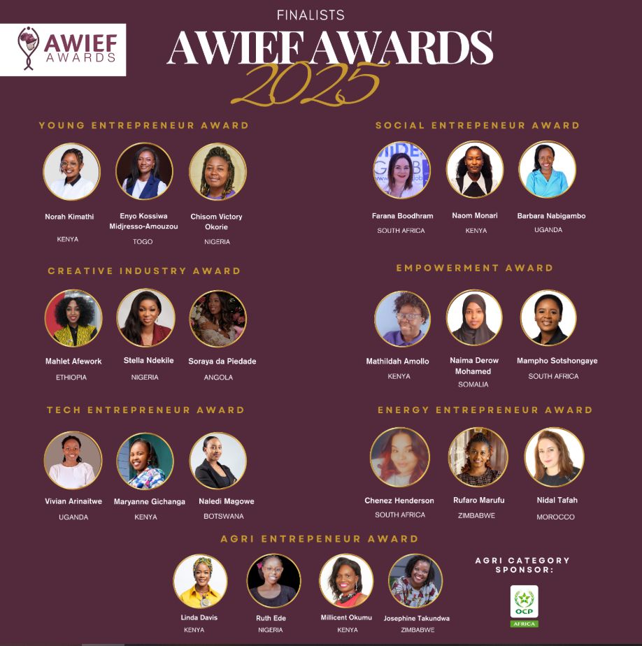 Finalists Announced for the 2025 AWIEF Awards - Daily Star
