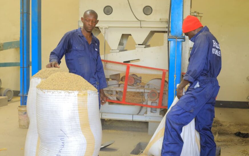 LEGS Project Spurs Economic Growth and Livelihood Transformation in Bunyangabu