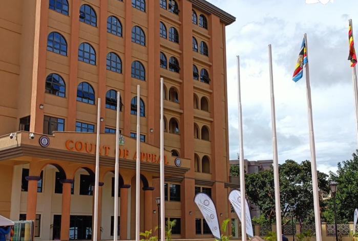 Court Nullifies Computer Misuse Act Over Constitutional Violations