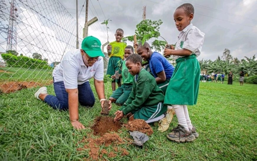 1,000 Trees, 1,000 Learners: Schools Lead New Climate Push