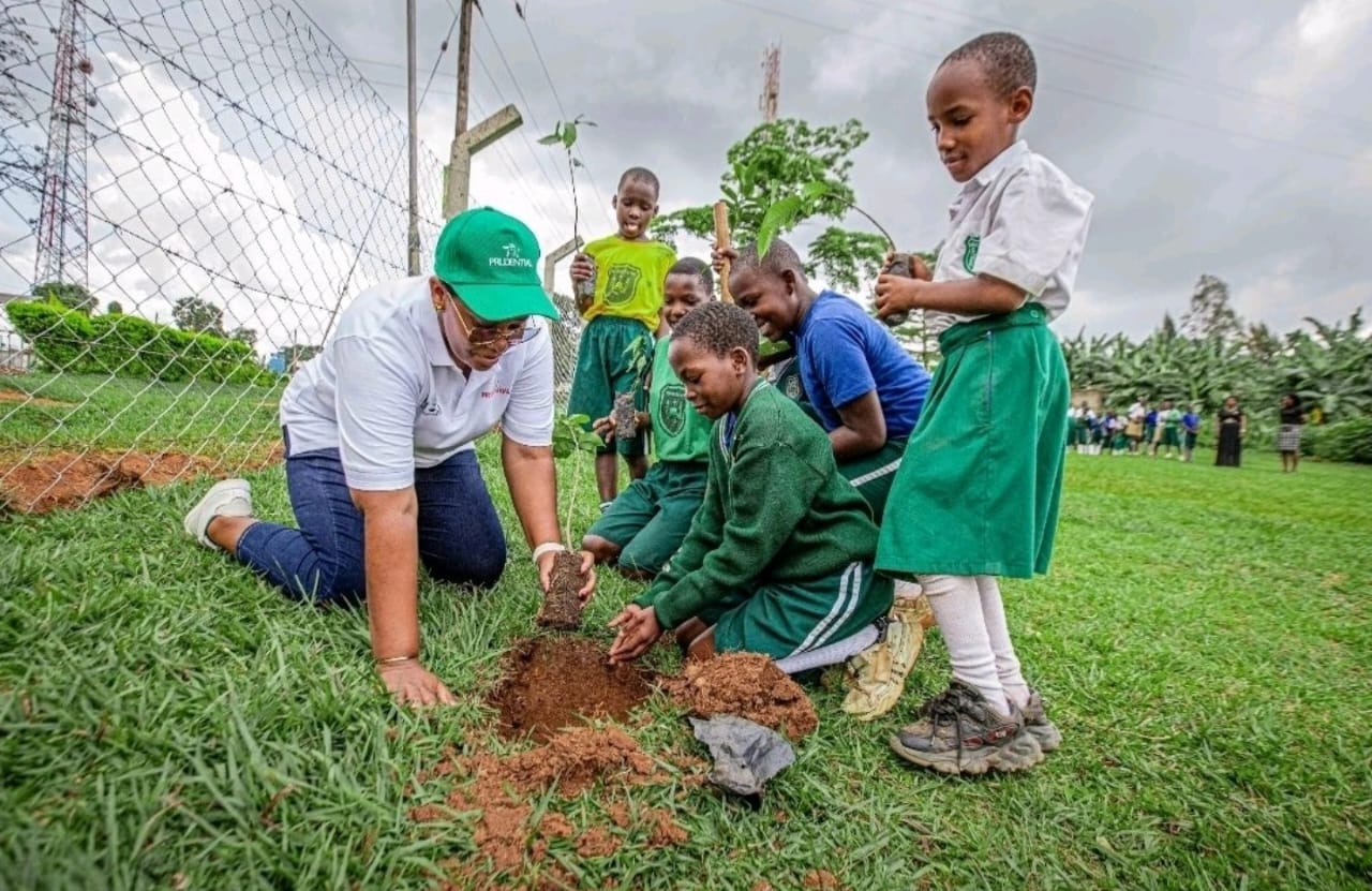 1,000 Trees, 1,000 Learners: Schools Lead New Climate Push