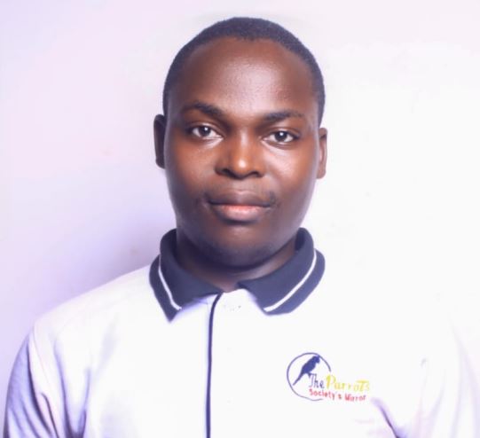 The Grim Reality of Sexual Violence: A Call to Action Beyond Statistics