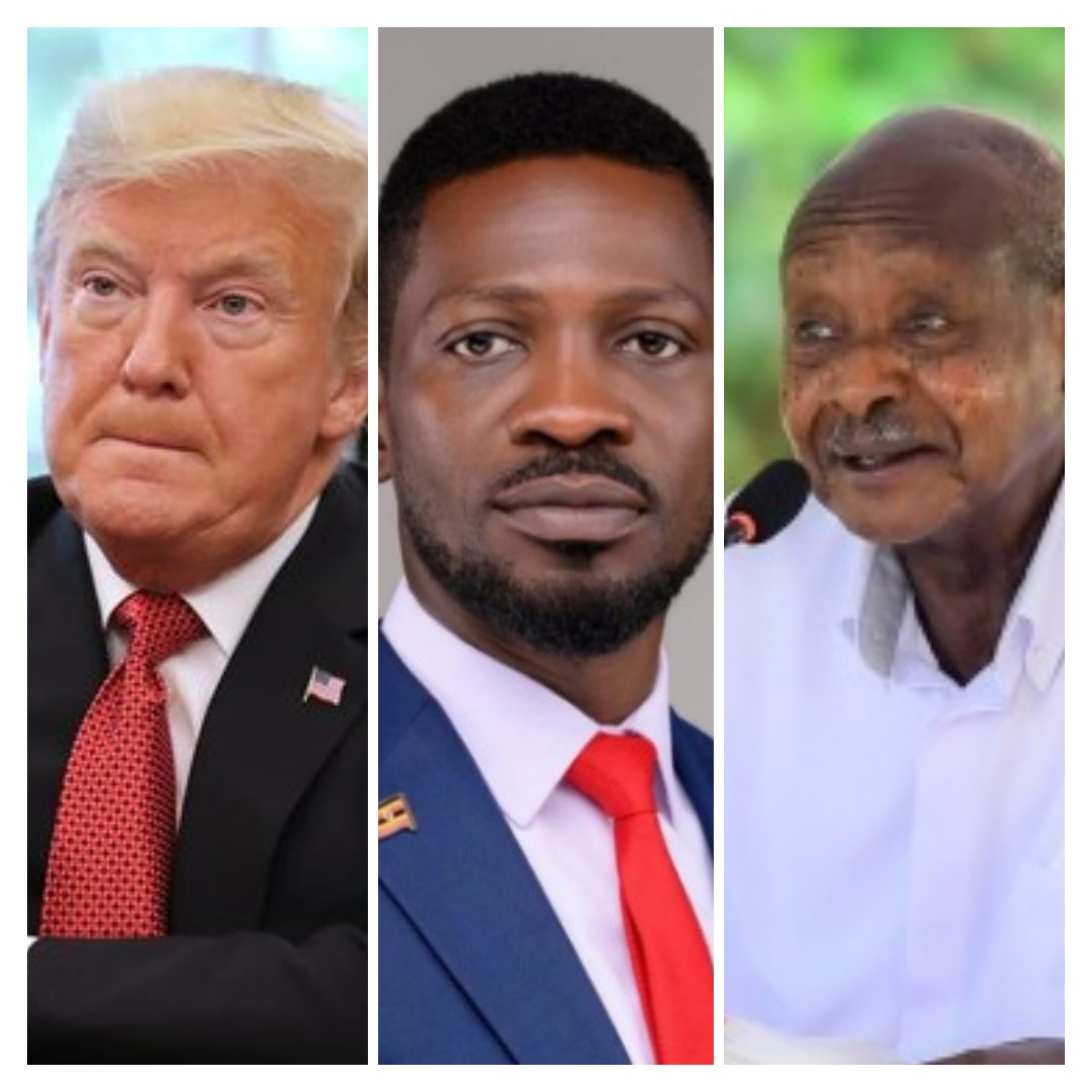 Inside Trump, Museveni and Bobi Wine’s ‘Zoom Meeting’ Over Uganda’s Political Dispute
