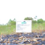 Some of the plot tags planted at the site for the members