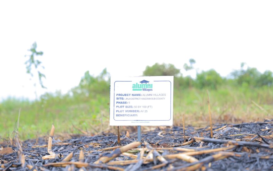 Some of the plot tags planted at the site for the members