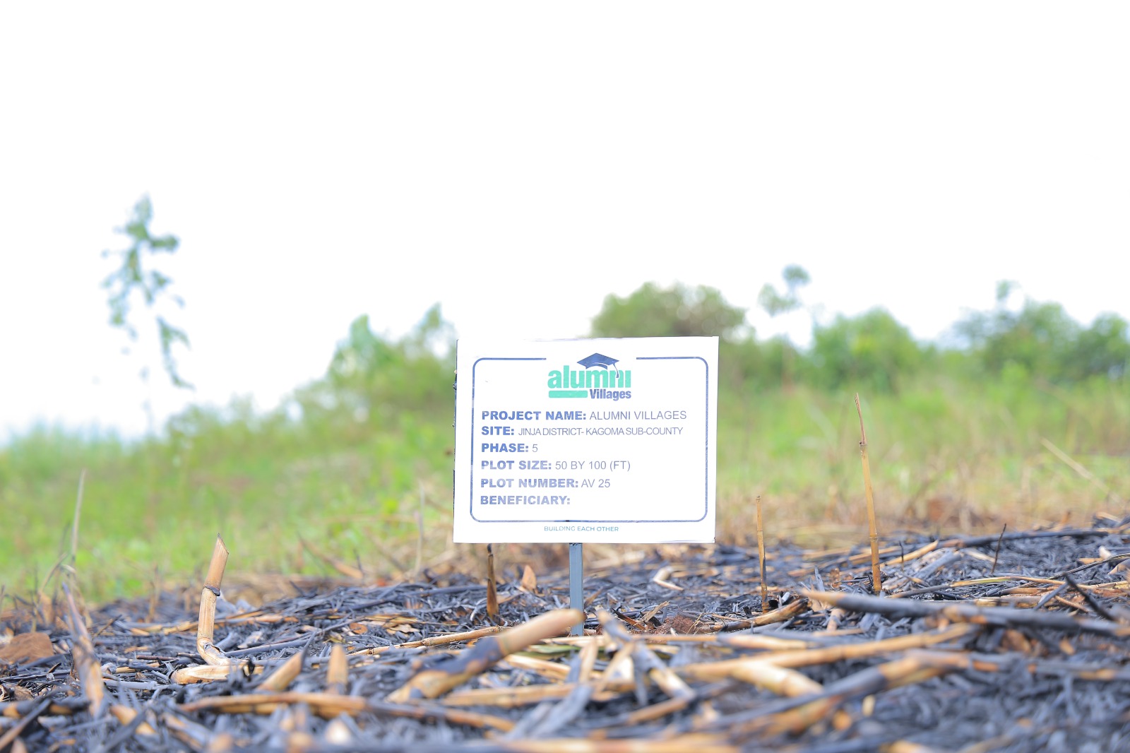 Some of the plot tags planted at the site for the members