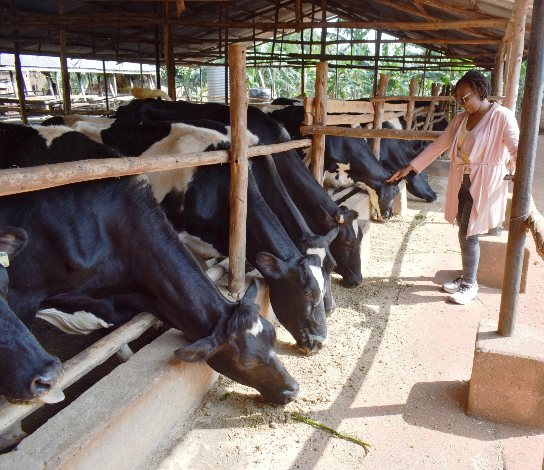How Turyamuhebwa Turned Integrated Farming into a High Growth Agribusiness