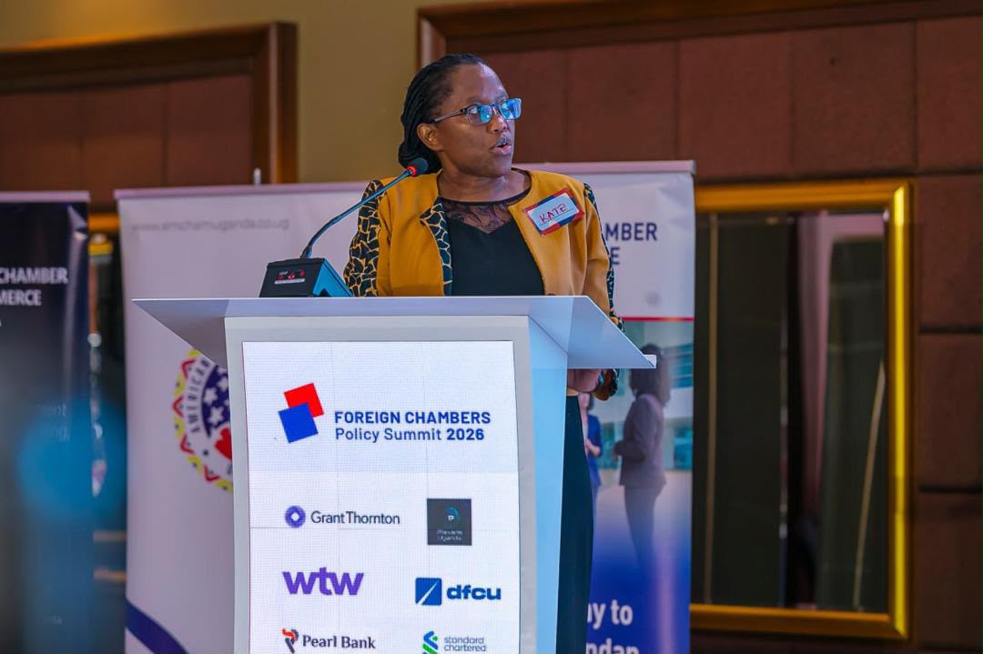 Execution gap threatens Uganda’s growth push — dfcu warns