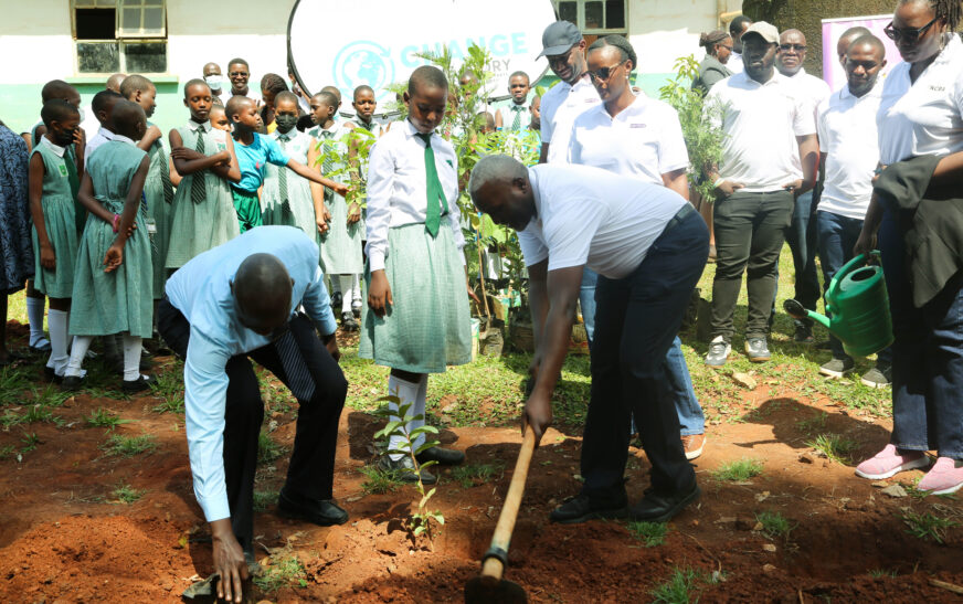 NCBA, Dentons and KCCA plant trees to commemorate World Environment Day