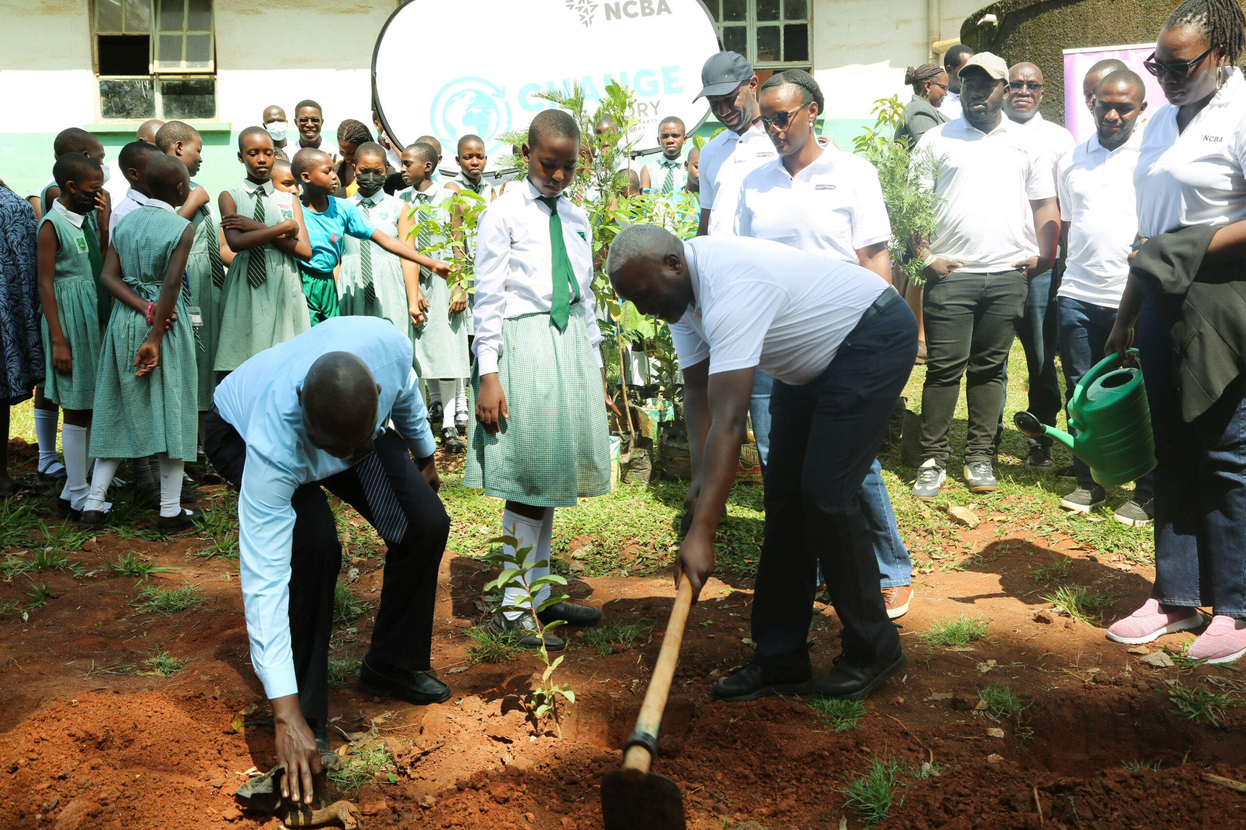 NCBA, Dentons and KCCA plant trees to commemorate World Environment Day