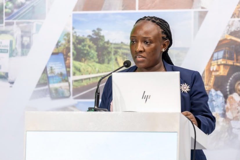 Uganda urged to prioritise mineral processing to maximise economic gains