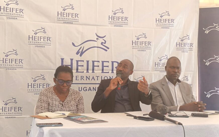 Heifer seeks to attract more youth to agriculture