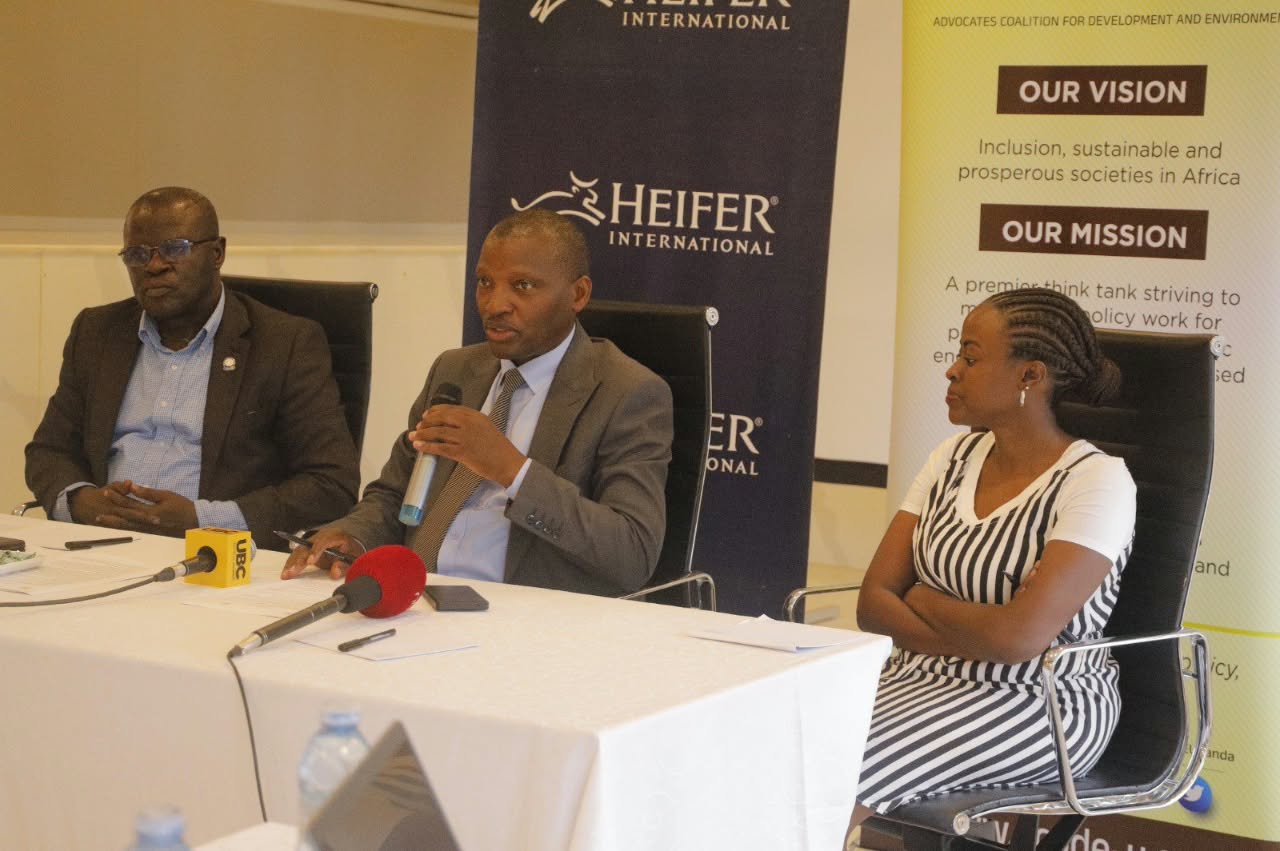 Cabinet backs local lithium mining to cut solar irrigation costs