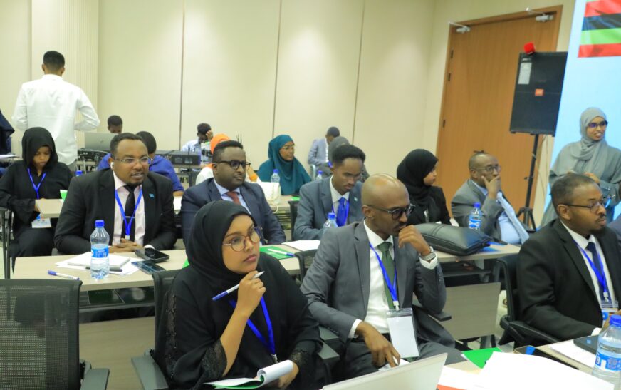 Uganda, Somalia review progress on joint commission commitments